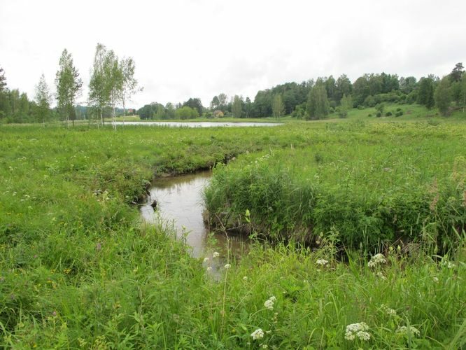 Maakond: Võrumaa Veekogu nimi: Liinjärv Pildistamise aeg: 2. juuli 2012 Pildistaja: H. Timm Pildistamise koht: teadmata Asimuut: