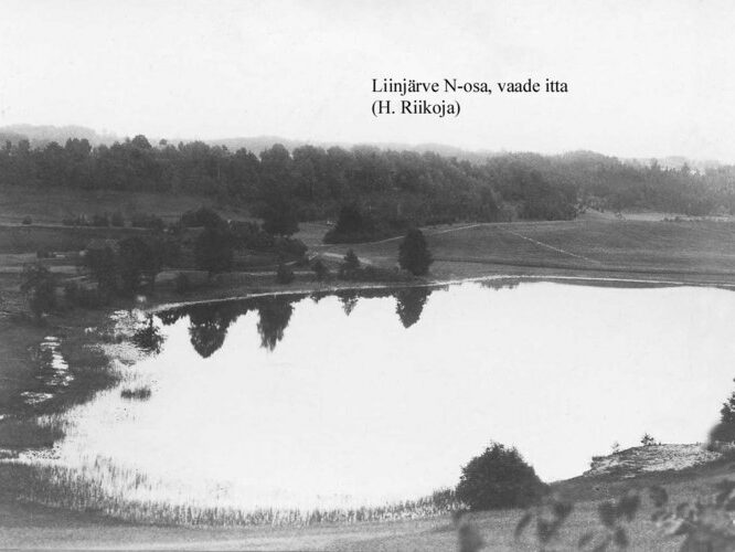 Maakond: Võrumaa Veekogu nimi: Liinjärv Pildistamise aeg: teadmata Pildistaja: H. Riikoja Pildistamise koht: N-osa Asimuut: E???