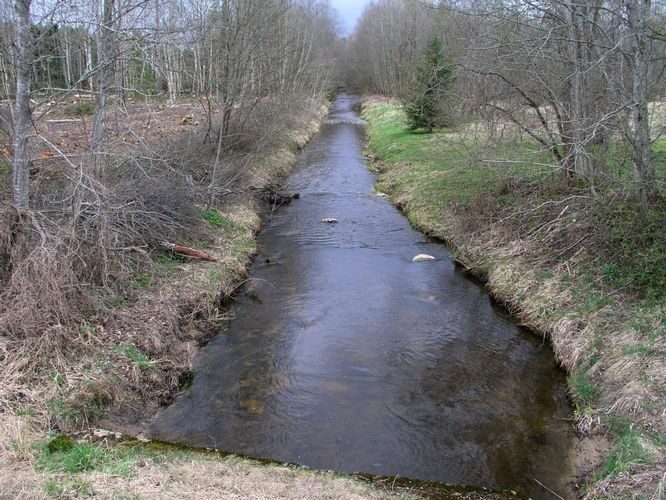 Maakond: Viljandimaa Veekogu nimi: Lõhavere oja Pildistamise aeg: 20. aprill 2007 Pildistaja: H. Timm Pildistamise koht: Vihi Asimuut: