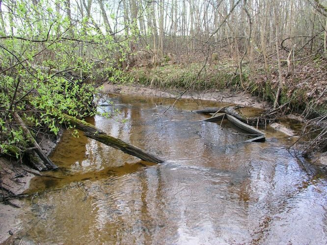 Maakond: Viljandimaa Veekogu nimi: Lõhavere oja Pildistamise aeg: 20. aprill 2007 Pildistaja: H. Timm Pildistamise koht: Vihi Asimuut: