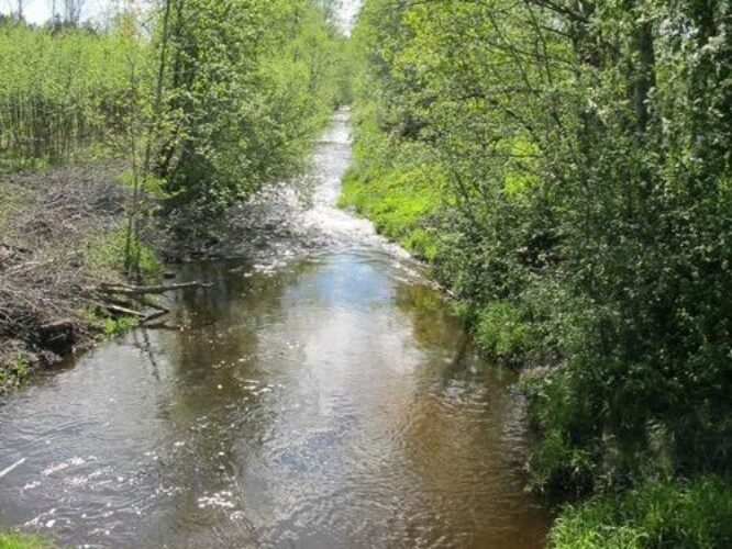 Maakond: Viljandimaa Veekogu nimi: Lõhavere oja Pildistamise aeg: 19. mai 2012 Pildistaja: H. Timm Pildistamise koht: sild alamjooksul Asimuut: