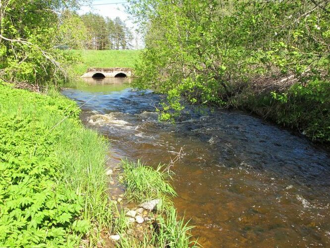 Maakond: Viljandimaa Veekogu nimi: Lõhavere oja Pildistamise aeg: 19. mai 2012 Pildistaja: H. Timm Pildistamise koht: sild alamjooksul Asimuut: