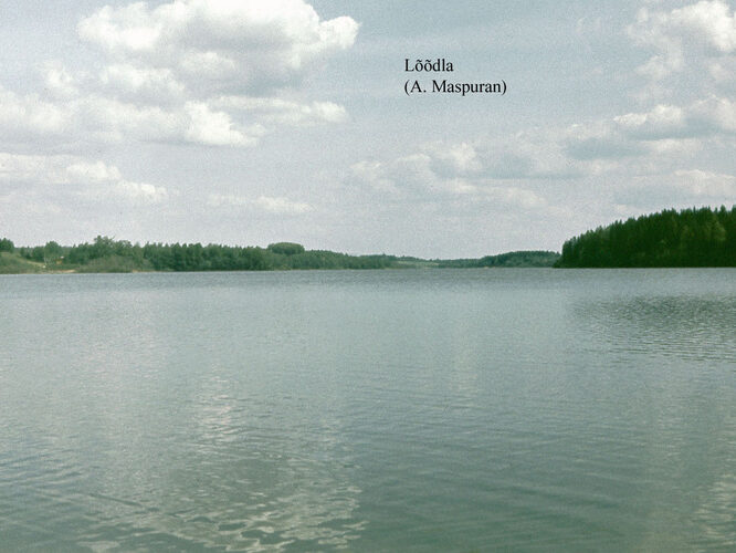 Maakond: Võrumaa Veekogu nimi: Lõõdla järv Pildistamise aeg: teadmata Pildistaja: A. Maspuran Pildistamise koht: teadmata Asimuut: