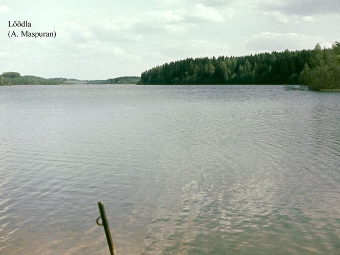 Maakond: Võrumaa Veekogu nimi: Lõõdla järv Pildistamise aeg: teadmata Pildistaja: A. Maspuran Pildistamise koht: teadmata Asimuut: