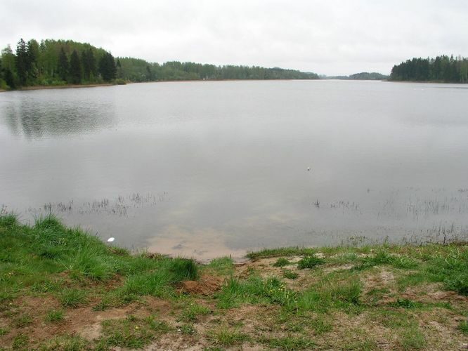 Maakond: Võrumaa Veekogu nimi: Lõõdla järv Pildistamise aeg: 7. mai 2008 Pildistaja: H. Timm Pildistamise koht: teadmata Asimuut: