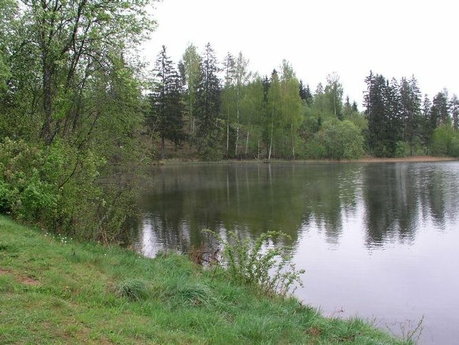 Maakond: Võrumaa Veekogu nimi: Lõõdla järv Pildistamise aeg: 7. mai 2008 Pildistaja: H. Timm Pildistamise koht: teadmata Asimuut: