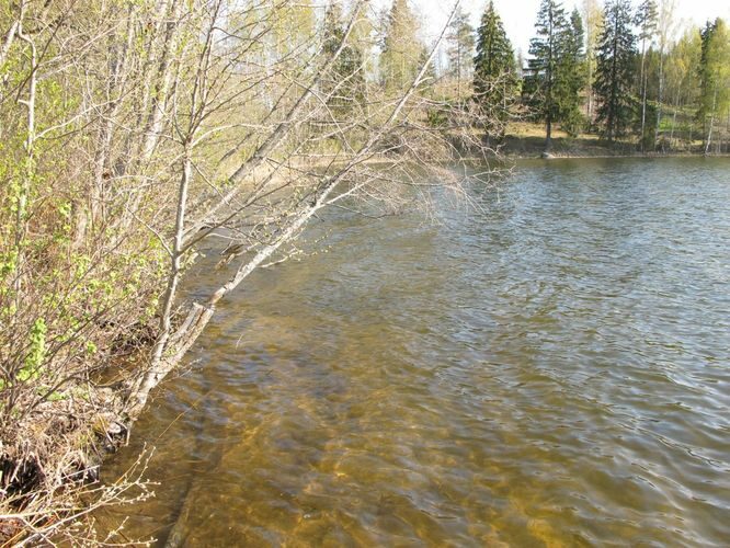 Maakond: Võrumaa Veekogu nimi: Lõõdla järv Pildistamise aeg: 3. mai 2011 Pildistaja: H. Timm Pildistamise koht: teadmata Asimuut: