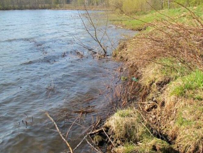 Maakond: Võrumaa Veekogu nimi: Lõõdla järv Pildistamise aeg: 3. mai 2011 Pildistaja: H. Timm Pildistamise koht: teadmata Asimuut: