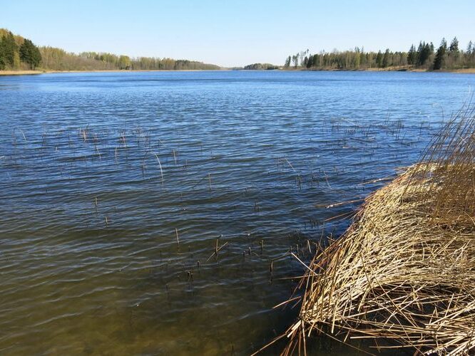 Maakond: Võrumaa Veekogu nimi: Lõõdla järv Pildistamise aeg: 23. aprill 2014 Pildistaja: H. Timm Pildistamise koht: teadmata Asimuut: