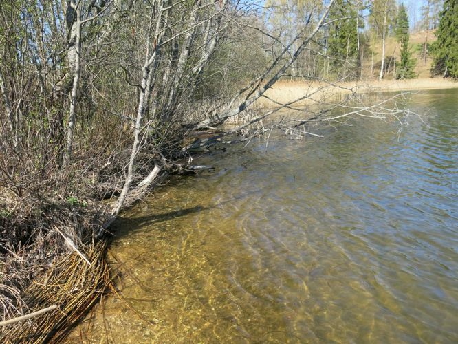 Maakond: Võrumaa Veekogu nimi: Lõõdla järv Pildistamise aeg: 23. aprill 2014 Pildistaja: H. Timm Pildistamise koht: teadmata Asimuut: