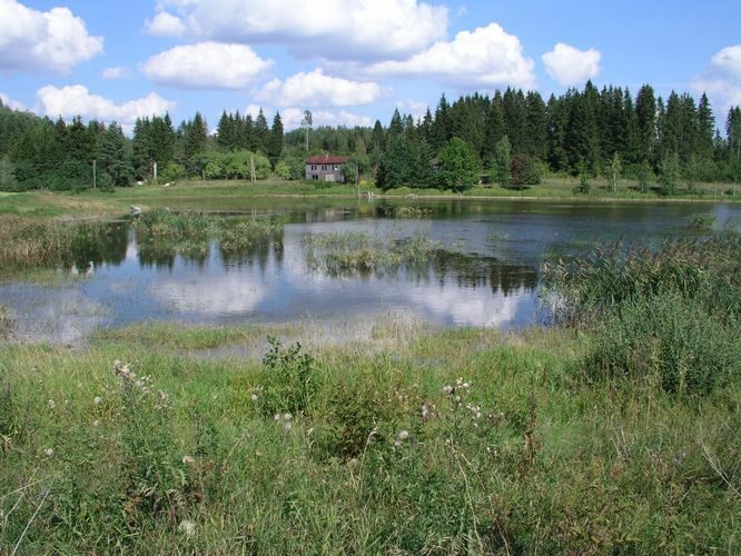 Maakond: Võrumaa Veekogu nimi: Luhasoo paisjärv Pildistamise aeg: august 2006 Pildistaja: H. Timm Pildistamise koht: teadmata Asimuut: