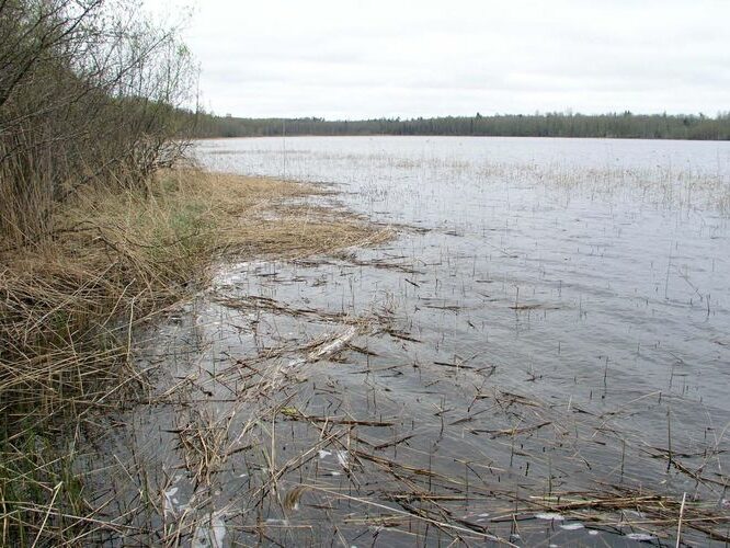 Maakond: Viljandimaa Veekogu nimi: Mäeküla järv Pildistamise aeg: 9. mai 2007 Pildistaja: H. Timm Pildistamise koht: teadmata Asimuut: