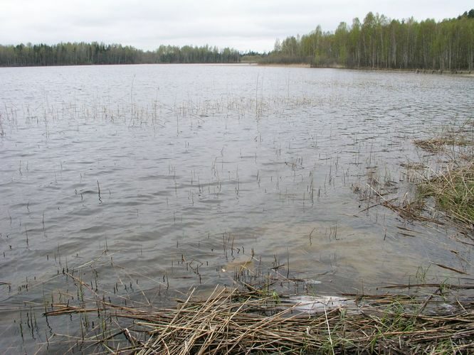 Maakond: Viljandimaa Veekogu nimi: Mäeküla järv Pildistamise aeg: 9. mai 2007 Pildistaja: H. Timm Pildistamise koht: teadmata Asimuut: