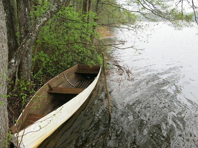 Maakond: Viljandimaa Veekogu nimi: Mäeküla järv Pildistamise aeg: 13. mai 2013 Pildistaja: H. Timm Pildistamise koht: teadmata Asimuut: