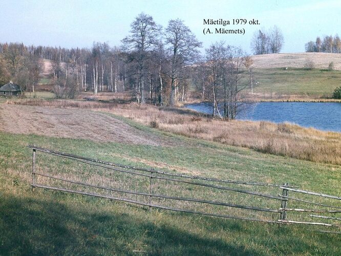 Maakond: Võrumaa Veekogu nimi: Mäetilga järv Pildistamise aeg: oktoober 1979 Pildistaja: A. Mäemets Pildistamise koht: teadmata Asimuut: