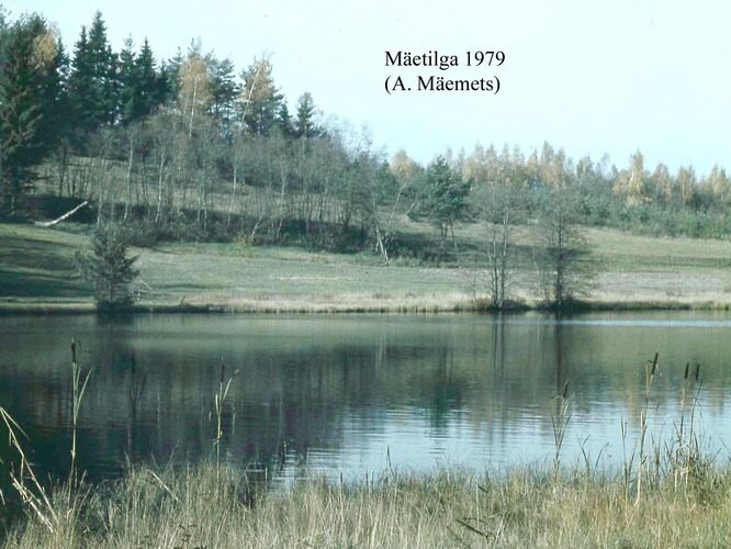 Maakond: Võrumaa Veekogu nimi: Mäetilga järv Pildistamise aeg: 1979 Pildistaja: A. Mäemets Pildistamise koht: teadmata Asimuut: