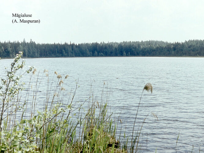 Maakond: Võrumaa Veekogu nimi: Mägialuse järv Pildistamise aeg: teadmata Pildistaja: A. Maspuran Pildistamise koht: teadmata Asimuut: