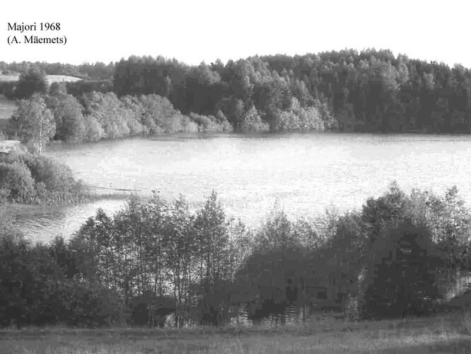 Maakond: Võrumaa Veekogu nimi: Majori järv Pildistamise aeg: 1968 Pildistaja: A. Mäemets Pildistamise koht: teadmata Asimuut: