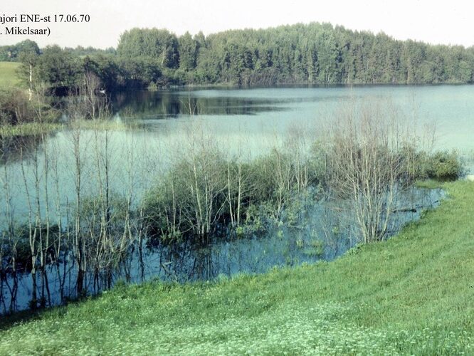 Maakond: Võrumaa Veekogu nimi: Majori järv Pildistamise aeg: 17. juuni 1970 Pildistaja: N. Mikelsaar Pildistamise koht: NE kaldalt Asimuut: W