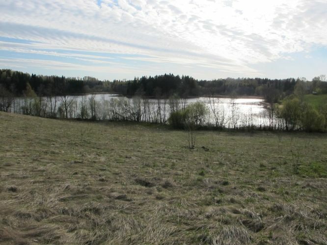 Maakond: Võrumaa Veekogu nimi: Majori järv Pildistamise aeg: 3. mai 2012 Pildistaja: H. Timm Pildistamise koht: teadmata Asimuut: