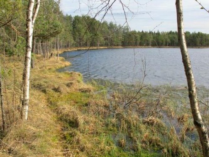 Maakond: Võrumaa Veekogu nimi: Mikeli järv Pildistamise aeg: 3. mai 2012 Pildistaja: H. Timm Pildistamise koht: teadmata Asimuut: