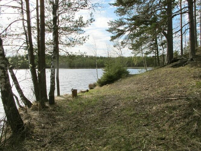 Maakond: Võrumaa Veekogu nimi: Mikeli järv Pildistamise aeg: 3. mai 2012 Pildistaja: H. Timm Pildistamise koht: teadmata Asimuut: