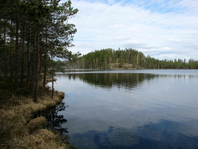 Maakond: Võrumaa Veekogu nimi: Mikeli järv Pildistamise aeg: 3. mai 2012 Pildistaja: H. Timm Pildistamise koht: teadmata Asimuut: