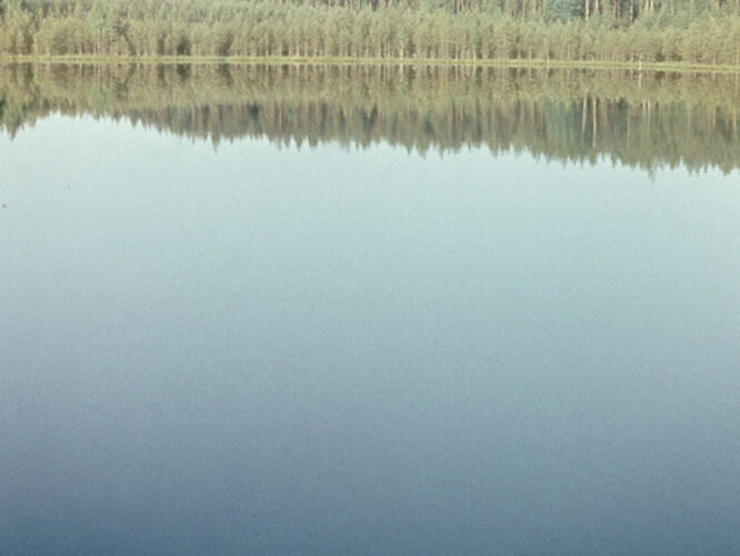 Maakond: Võrumaa Veekogu nimi: Mikkeli järv Pildistamise aeg: teadmata Pildistaja: A. Maspuran Pildistamise koht: teadmata Asimuut: