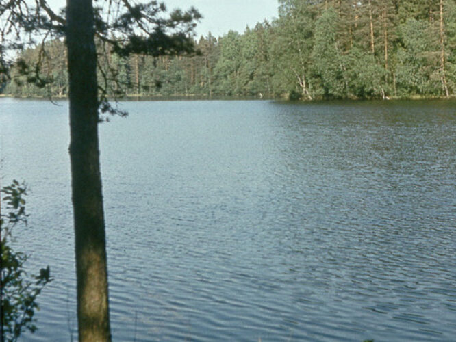 Maakond: Võrumaa Veekogu nimi: Misso Saarjärv Pildistamise aeg: teadmata Pildistaja: A. Maspuran Pildistamise koht: teadmata Asimuut: