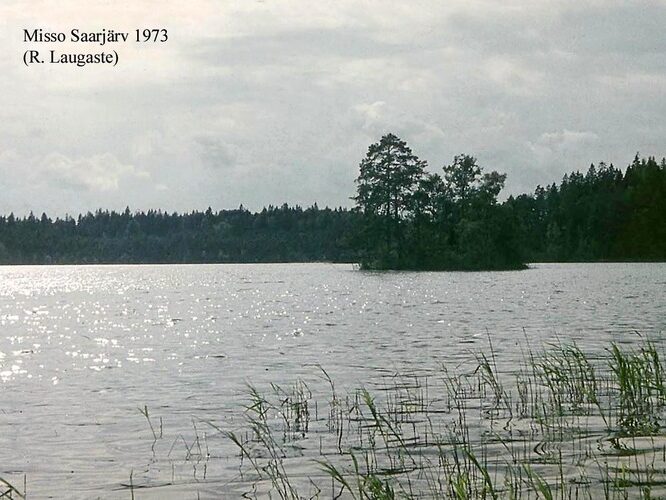 Maakond: Võrumaa Veekogu nimi: Misso Saarjärv Pildistamise aeg: 1973 Pildistaja: R. Laugaste Pildistamise koht: teadmata Asimuut: