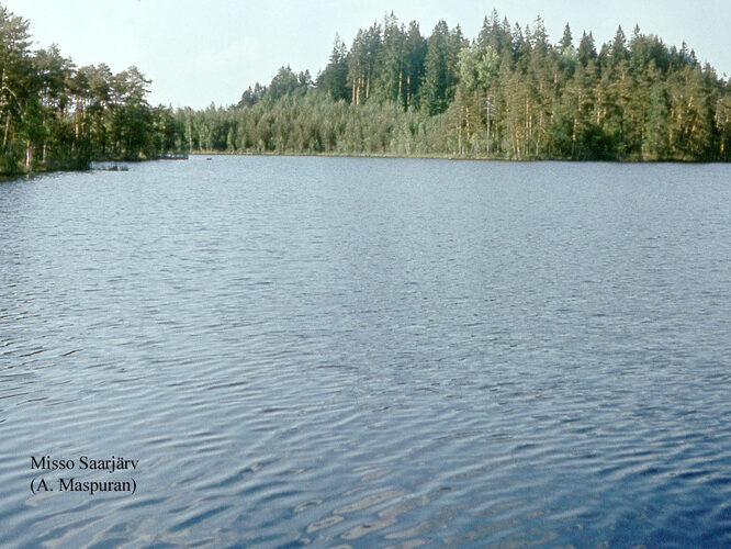 Maakond: Võrumaa Veekogu nimi: Misso Saarjärv Pildistamise aeg: teadmata Pildistaja: A. Maspuran Pildistamise koht: teadmata Asimuut: