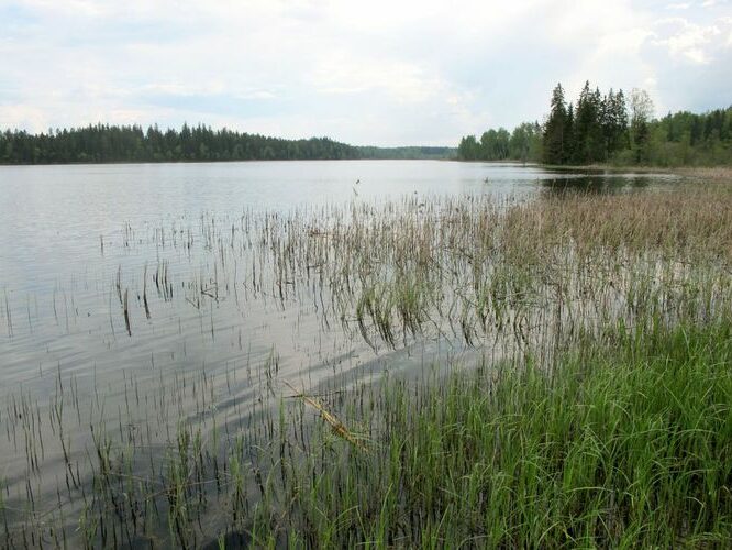 Maakond: Võrumaa Veekogu nimi: Murati järv Pildistamise aeg: 17. mai 2010 Pildistaja: H. Timm Pildistamise koht: teadmata Asimuut: