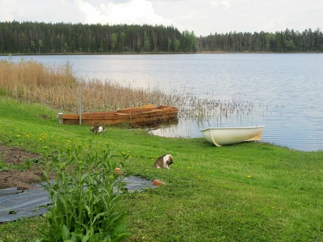 Maakond: Võrumaa Veekogu nimi: Murati järv Pildistamise aeg: 17. mai 2010 Pildistaja: H. Timm Pildistamise koht: teadmata Asimuut: