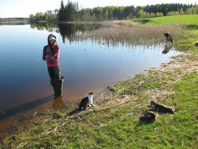 Maakond: Võrumaa Veekogu nimi: Murati järv Pildistamise aeg: 8. mai 2012 Pildistaja: H. Timm Pildistamise koht: teadmata Asimuut: