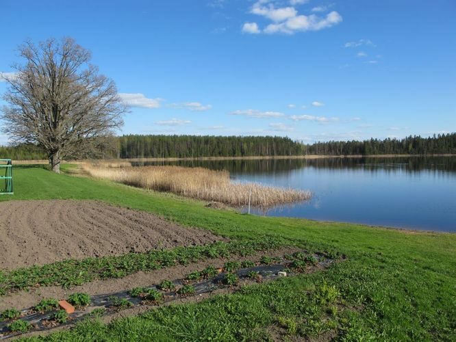 Maakond: Võrumaa Veekogu nimi: Murati järv Pildistamise aeg: 8. mai 2012 Pildistaja: H. Timm Pildistamise koht: teadmata Asimuut: