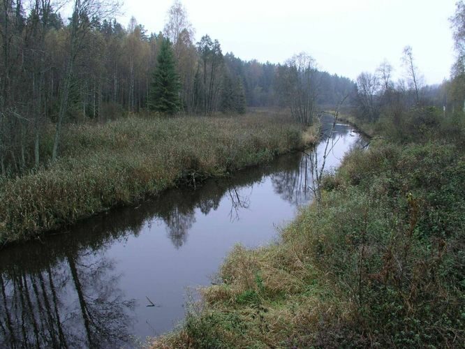 Maakond: Võrumaa Veekogu nimi: Mustjõgi Pildistamise aeg: 19. oktoober 2004 Pildistaja: H. Timm Pildistamise koht: Piisi Asimuut: