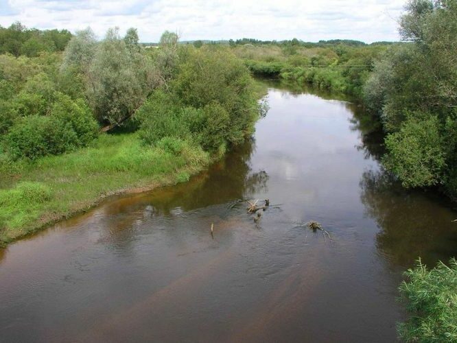 Maakond: Võrumaa Veekogu nimi: Mustjõgi Pildistamise aeg: 19. oktoober 2004 Pildistaja: H. Timm Pildistamise koht: Taheva Asimuut: