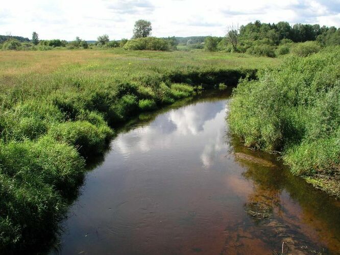 Maakond: Võrumaa Veekogu nimi: Mustjõgi Pildistamise aeg: 13. august 2004 Pildistaja: H. Timm Pildistamise koht: Roosiku Asimuut: