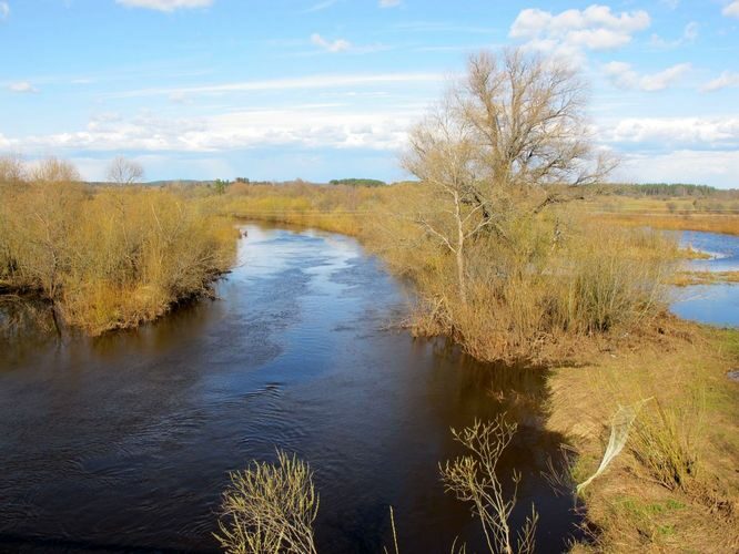 Maakond: Võrumaa Veekogu nimi: Mustjõgi Pildistamise aeg: 25. aprill 2010 Pildistaja: H. Timm Pildistamise koht: Tsirgumäe Asimuut: