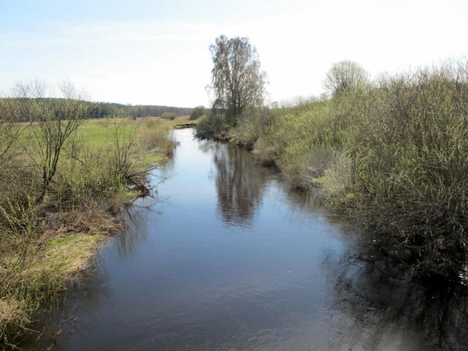 Maakond: Võrumaa Veekogu nimi: Mustjõgi Pildistamise aeg: 28. aprill 2012 Pildistaja: H. Timm Pildistamise koht: Kikkaoja Asimuut: