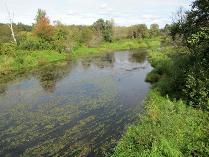 Maakond: Võrumaa Veekogu nimi: Mustjõgi Pildistamise aeg: 10. september 2012 Pildistaja: H. Timm Pildistamise koht: Mõniste Asimuut: