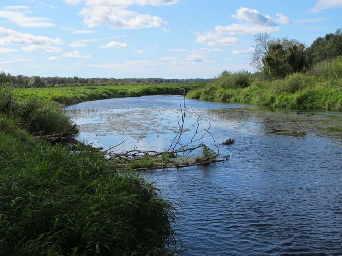 Maakond: Võrumaa Veekogu nimi: Mustjõgi Pildistamise aeg: 10. september 2012 Pildistaja: H. Timm Pildistamise koht: Mõniste Asimuut: