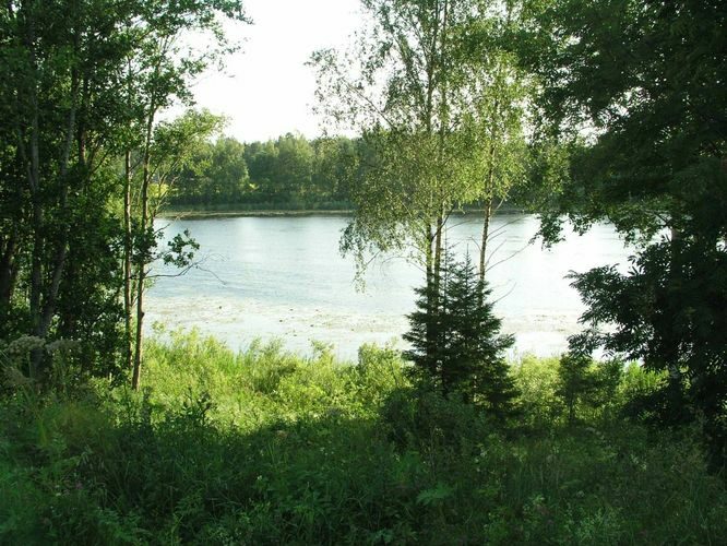 Maakond: Viljandimaa Veekogu nimi: Muti järv Pildistamise aeg: 19. juuli 2004 Pildistaja: H. Timm Pildistamise koht: teadmata Asimuut: