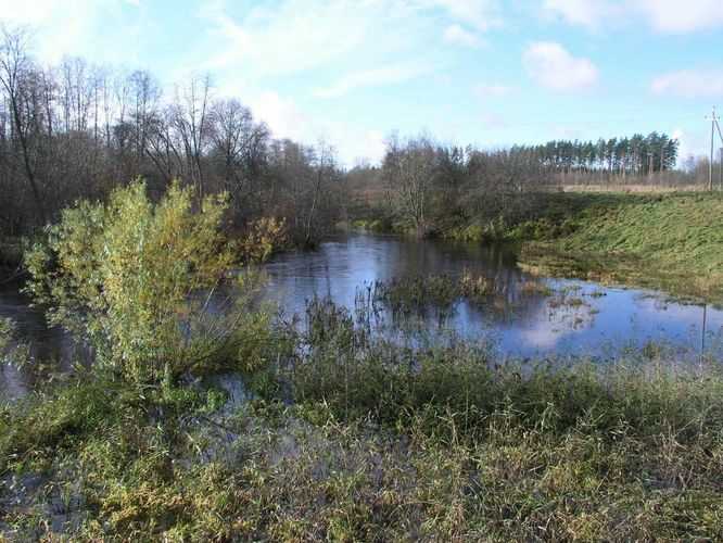 Maakond: Viljandimaa Veekogu nimi: Navesti jõgi Pildistamise aeg: 24. oktoober 2004 Pildistaja: H. Timm Pildistamise koht: Kootsi Asimuut: