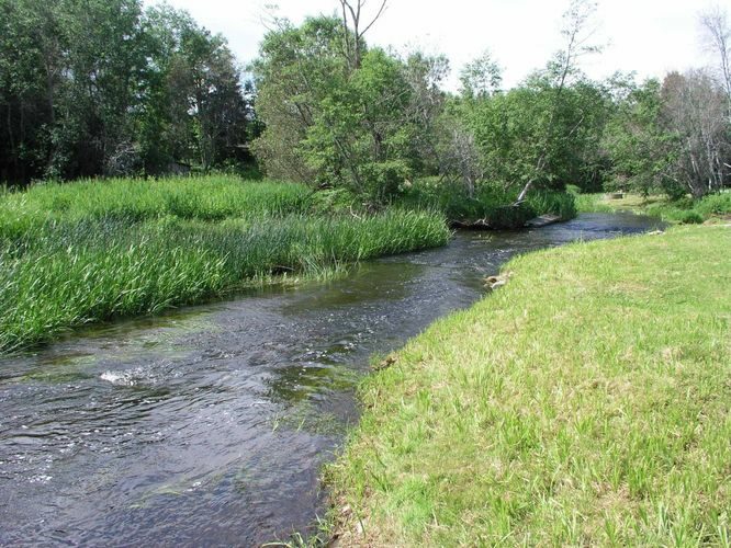 Maakond: Viljandimaa Veekogu nimi: Navesti jõgi Pildistamise aeg: 29. juuni 2005 Pildistaja: H. Timm Pildistamise koht: Vanaõue Asimuut:Maakond: Viljandimaa Veekogu nimi: Navesti jõgi Pildistamise aeg: 29. juuni 2005 Pildistaja: H. Timm Pildistamise koht: Vanaõue Asimuut: