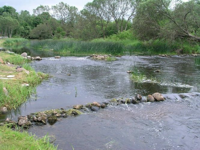 Maakond: Viljandimaa Veekogu nimi: Navesti jõgi Pildistamise aeg: 29. juuni 2005 Pildistaja: H. Timm Pildistamise koht: Vanaõue Asimuut: