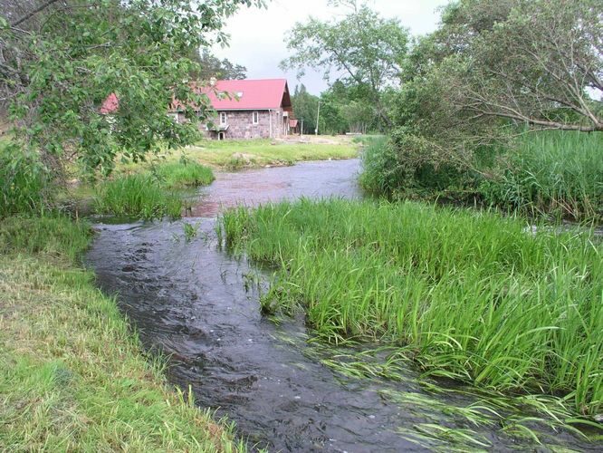 Maakond: Viljandimaa Veekogu nimi: Navesti jõgi Pildistamise aeg: 29. juuni 2005 Pildistaja: H. Timm Pildistamise koht: Vanaõue Asimuut: