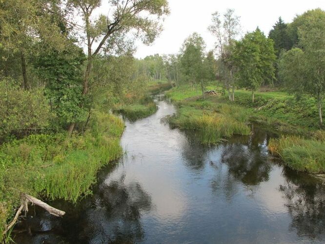 Maakond: Viljandimaa Veekogu nimi: Navesti jõgi Pildistamise aeg: 14. september 2010 Pildistaja: H. Timm Pildistamise koht: Vihi Asimuut: