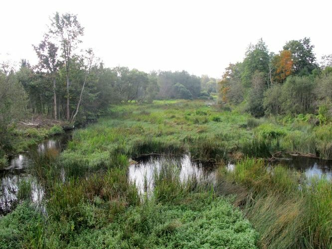 Maakond: Viljandimaa Veekogu nimi: Navesti jõgi Pildistamise aeg: 14. september 2010 Pildistaja: H. Timm Pildistamise koht: Vihi Asimuut: