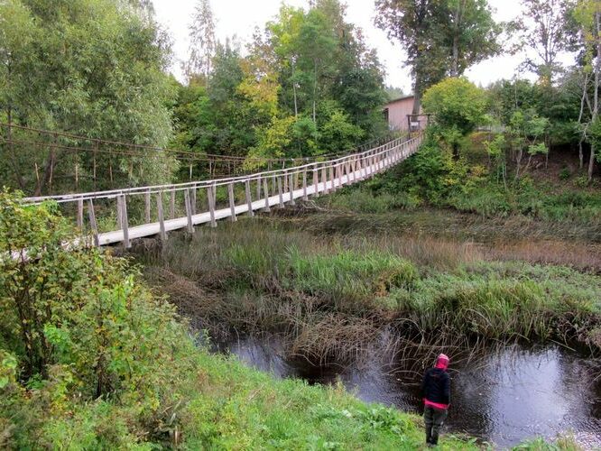 Maakond: Viljandimaa Veekogu nimi: Navesti jõgi Pildistamise aeg: 14. september 2010 Pildistaja: H. Timm Pildistamise koht: Aesoo Asimuut: